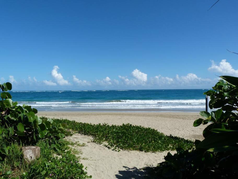 Charming Oceanside 2 Bd Villa Cabarete Exterior photo